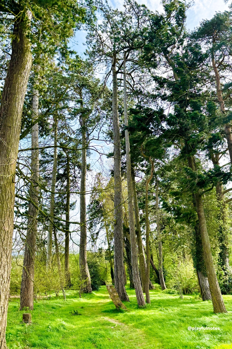 vacanta in Tara Galilor cu copiii