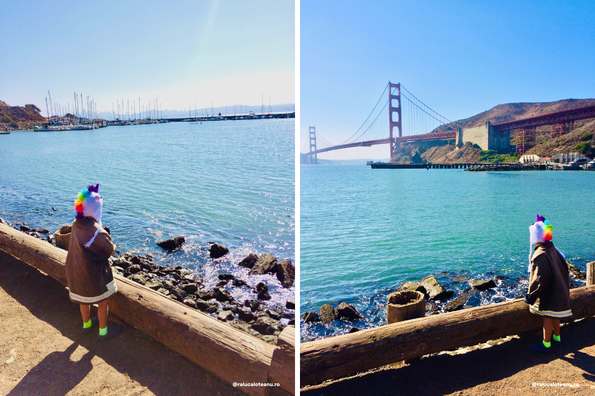 plecarea din America